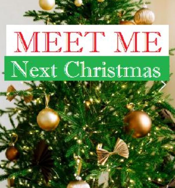فیلم Meet Me Next Christmas 2024 | کریسمس بعد با من ملاقات کن